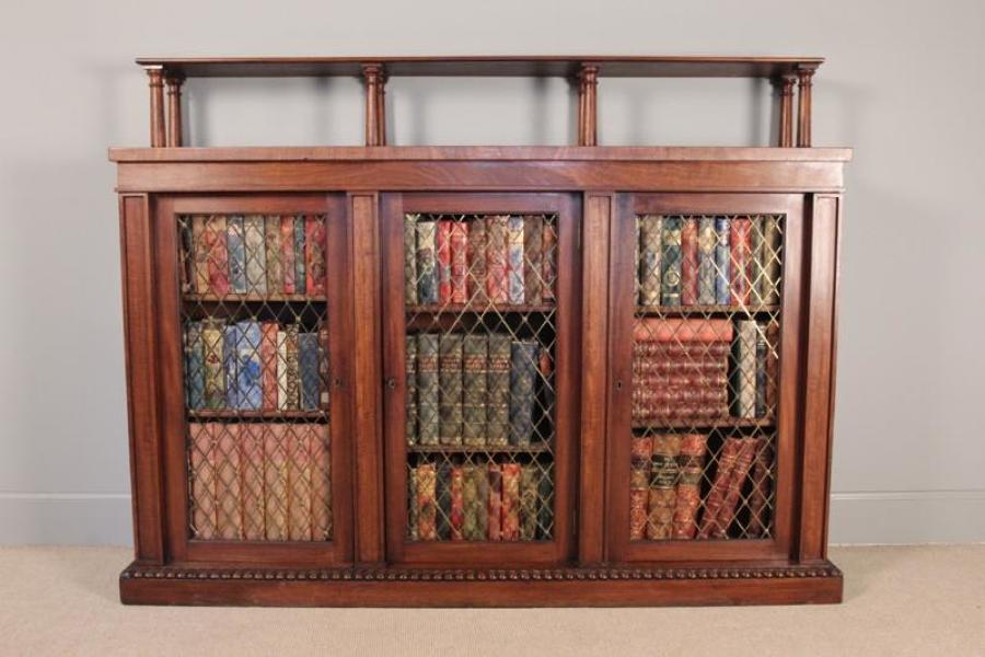 George IV Mahogany Side Cabinet/Bookcase