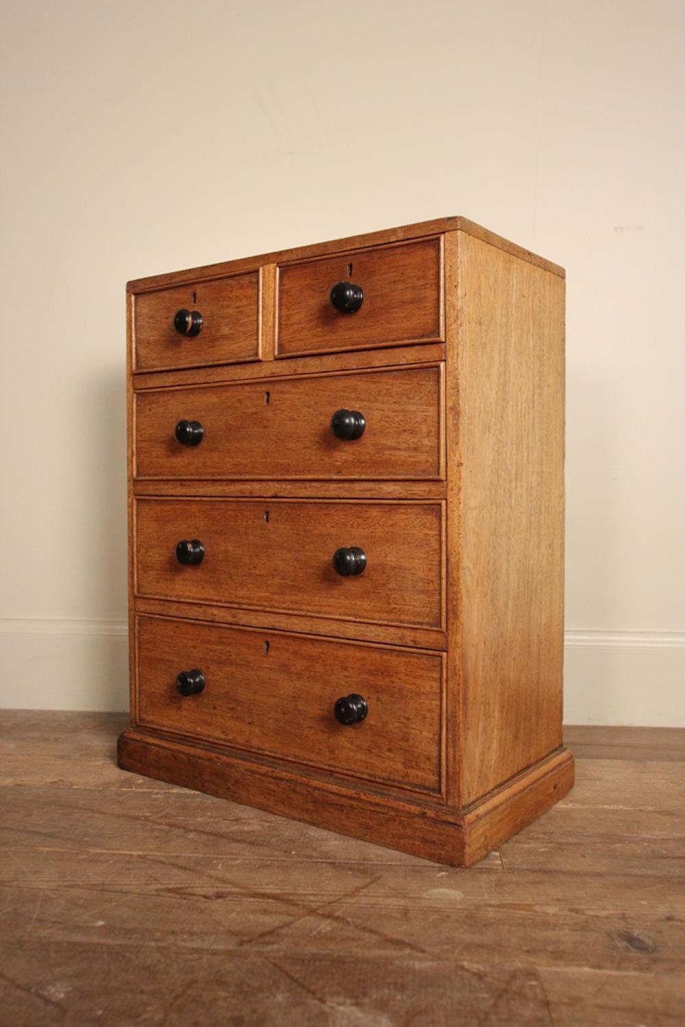 19th Century Table Top Collectors Chest