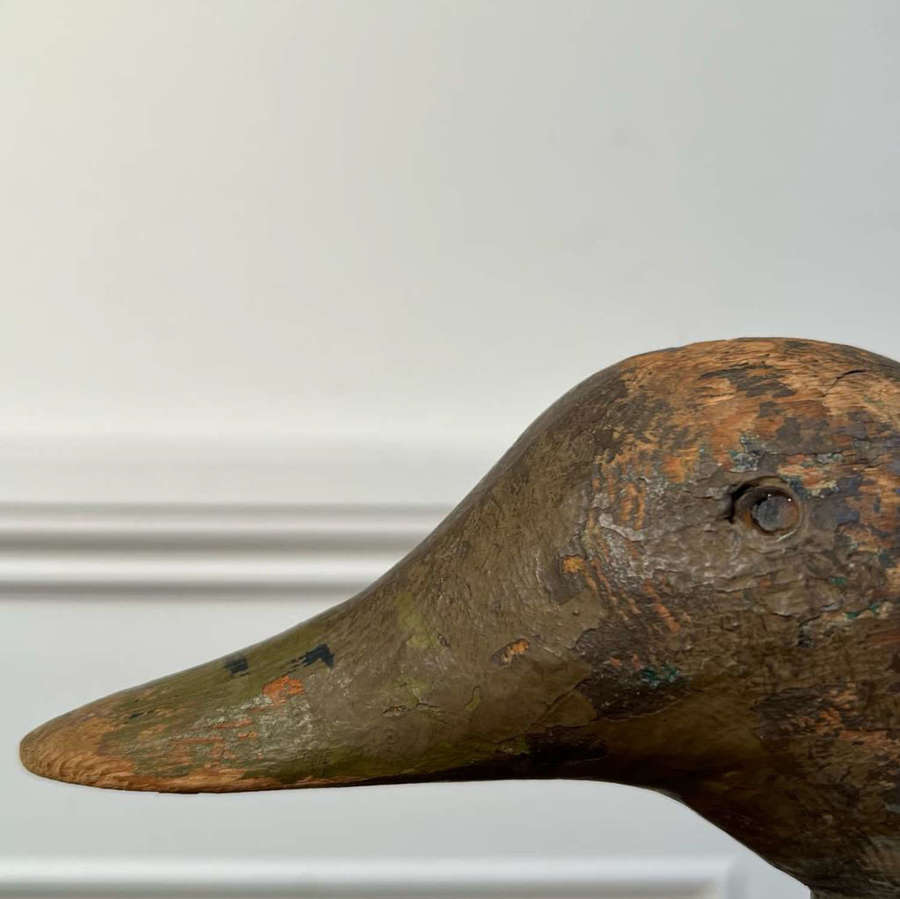Large Edwardian Decoy Duck