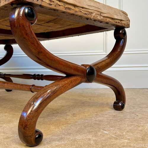 Large Regency Rosewood X Frame Centre Stool