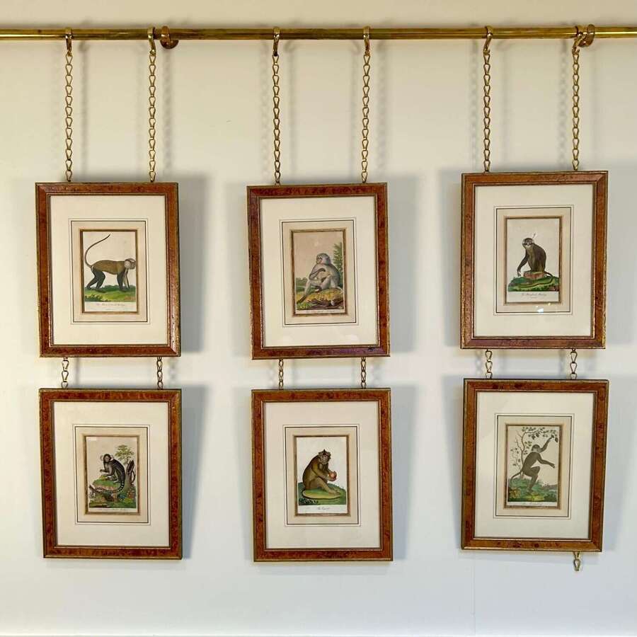 Early 19th C Hand Coloured Monkey Engravings